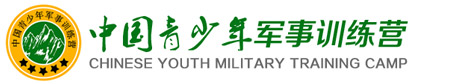 新东方游学夏令营logo